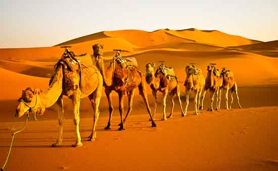 3 days Sahara tour from Marrakech to Fes via Merzouga