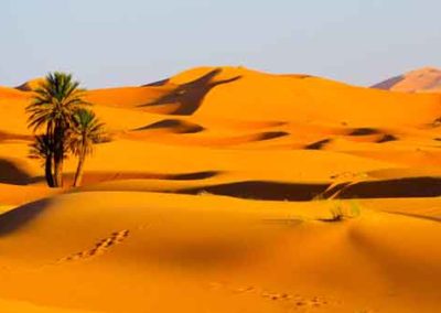 5 day desert tour from Fes to Merzouga& South