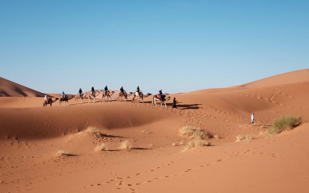 Top 5 activities you must do in the Moroccan Desert.