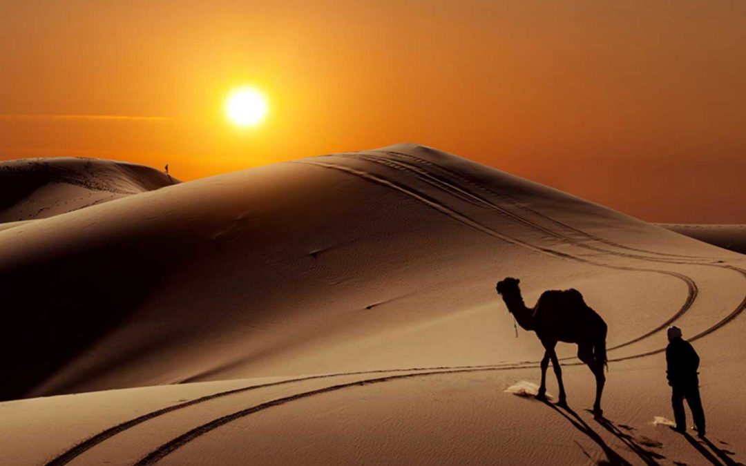 Discover more about Morocco private desert tours.