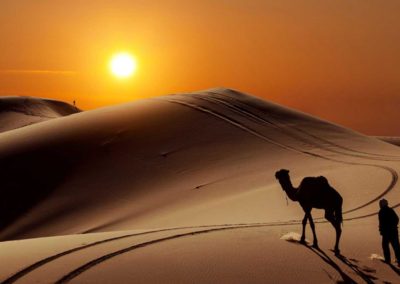 Riding Camel and one night in the desert