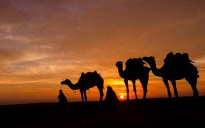 Camel treks with two nights – Sahara Desert Tours