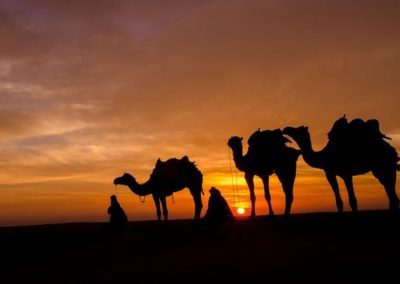 Camel treks with two nights in the Sahara Desert