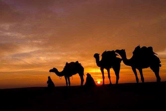 Discover Morocco in 2024: 12 days tour from Casablanca