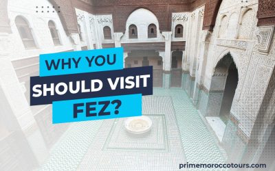 Why you should visit Fez?