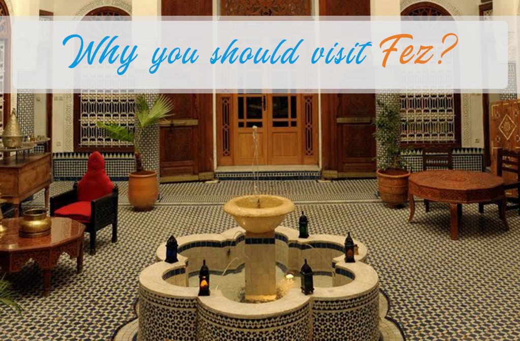 Why you should visit Fez?