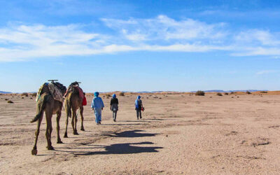 Erg Chigaga Camel Trekking Trip – 5 Days