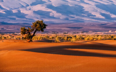 Erg Chigaga 2 Days & 1 Night Desert Tour from M’hamid El Ghizlane