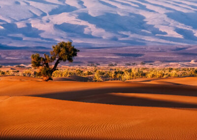 Erg Chigaga 2 Days & 1 Night Desert Tour from M’hamid El Ghizlane