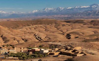 1-Day Agafay Desert Excursion from Marrakech