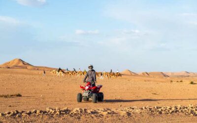 Half-Day Agafay Desert Experience from Marrakech