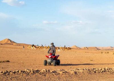Half-Day Agafay Desert Experience from Marrakech