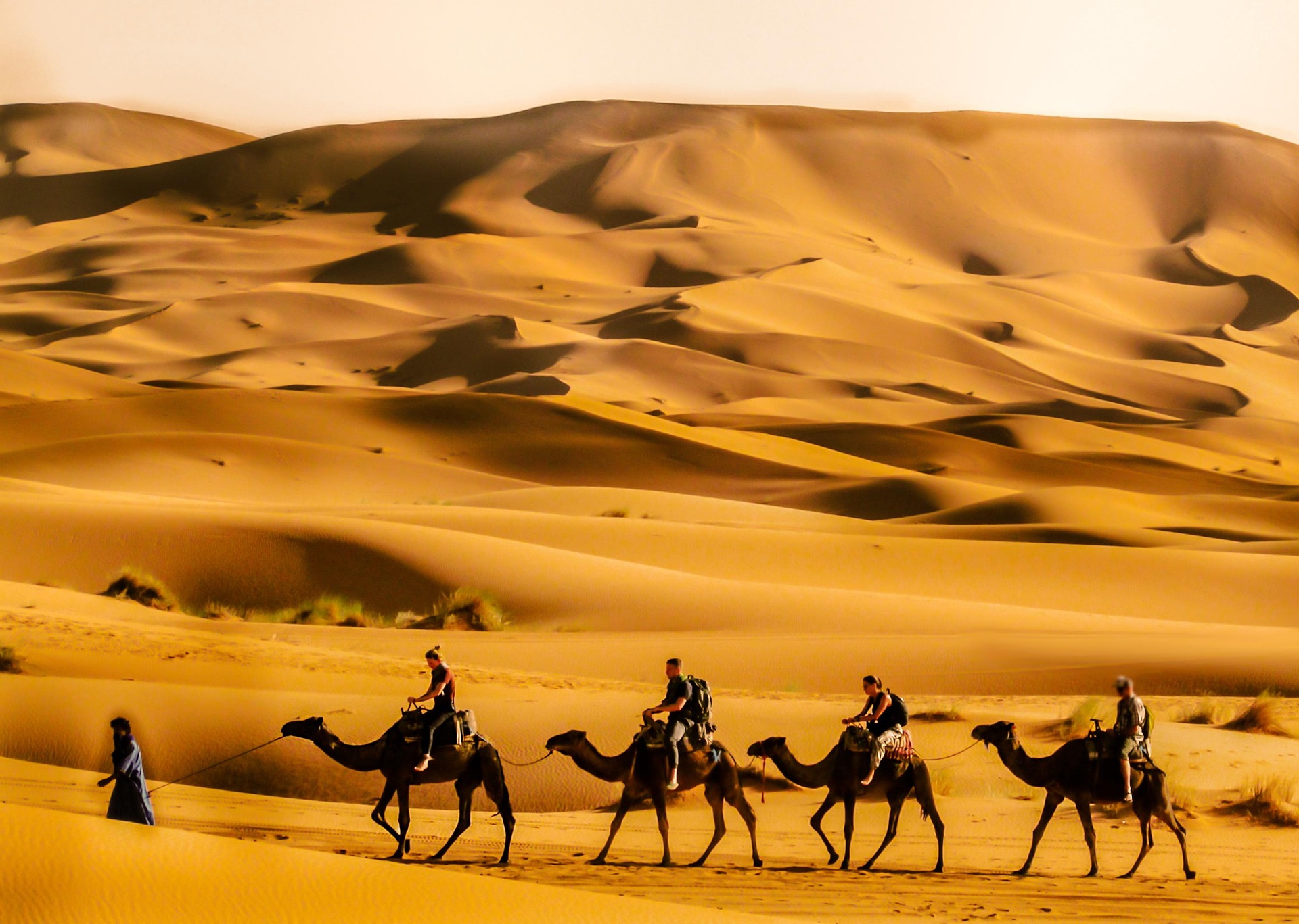 3 day Morocco student tour from Marrakech