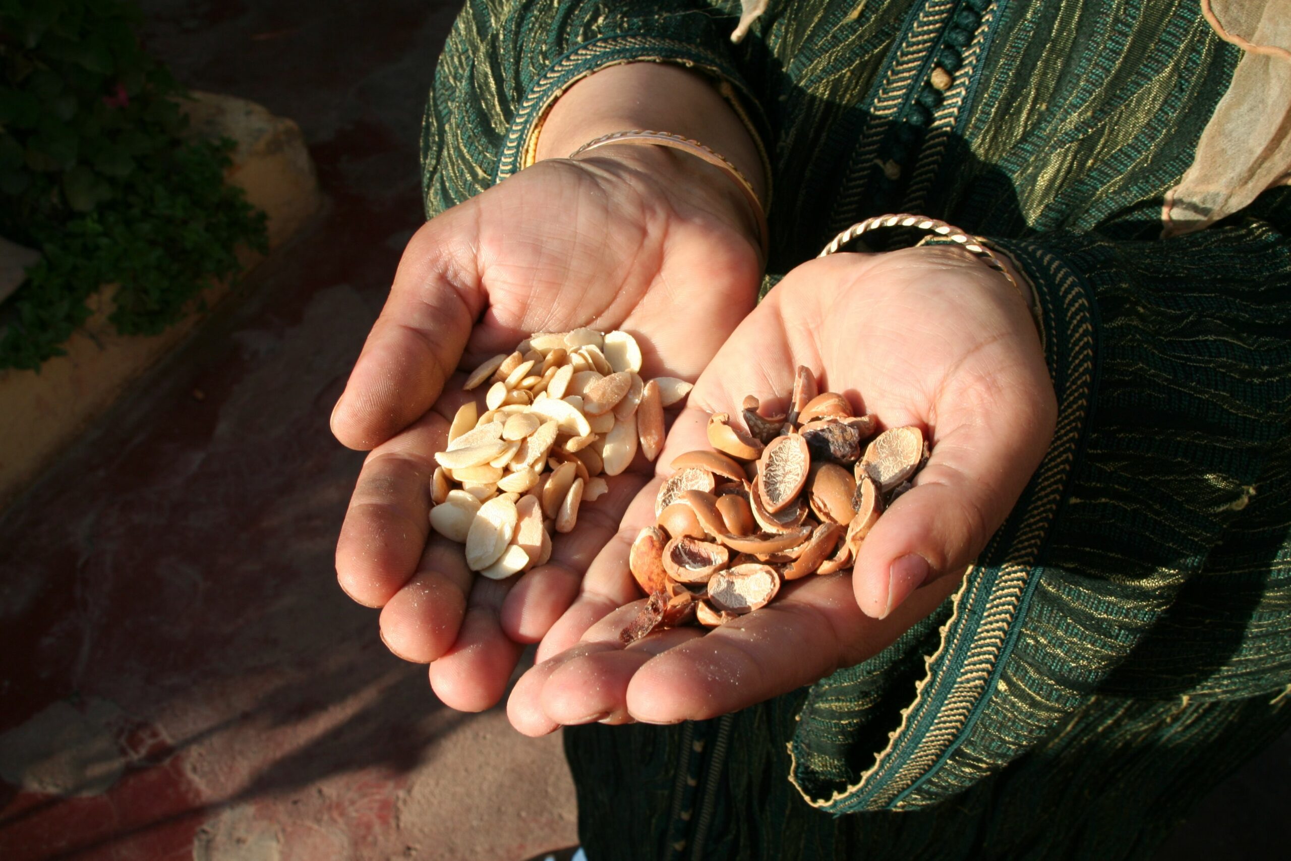 Argan Oil