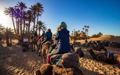 3-DAY SHARED DESERT TOUR FROM MARRAKECH TO FES