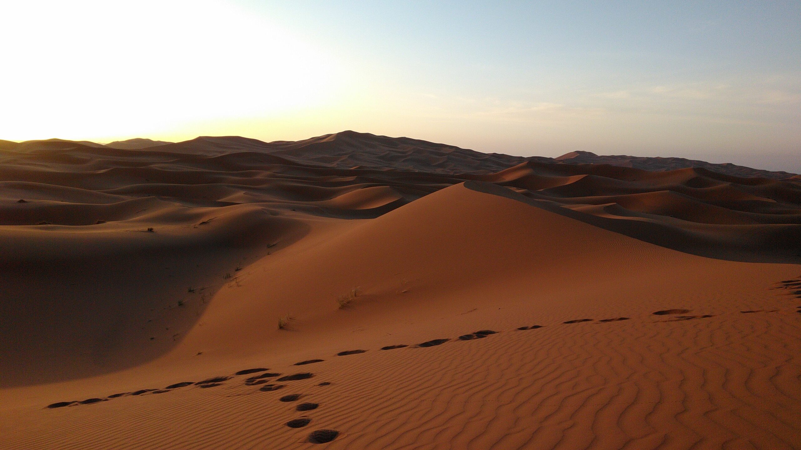 Erg Chebbi desert