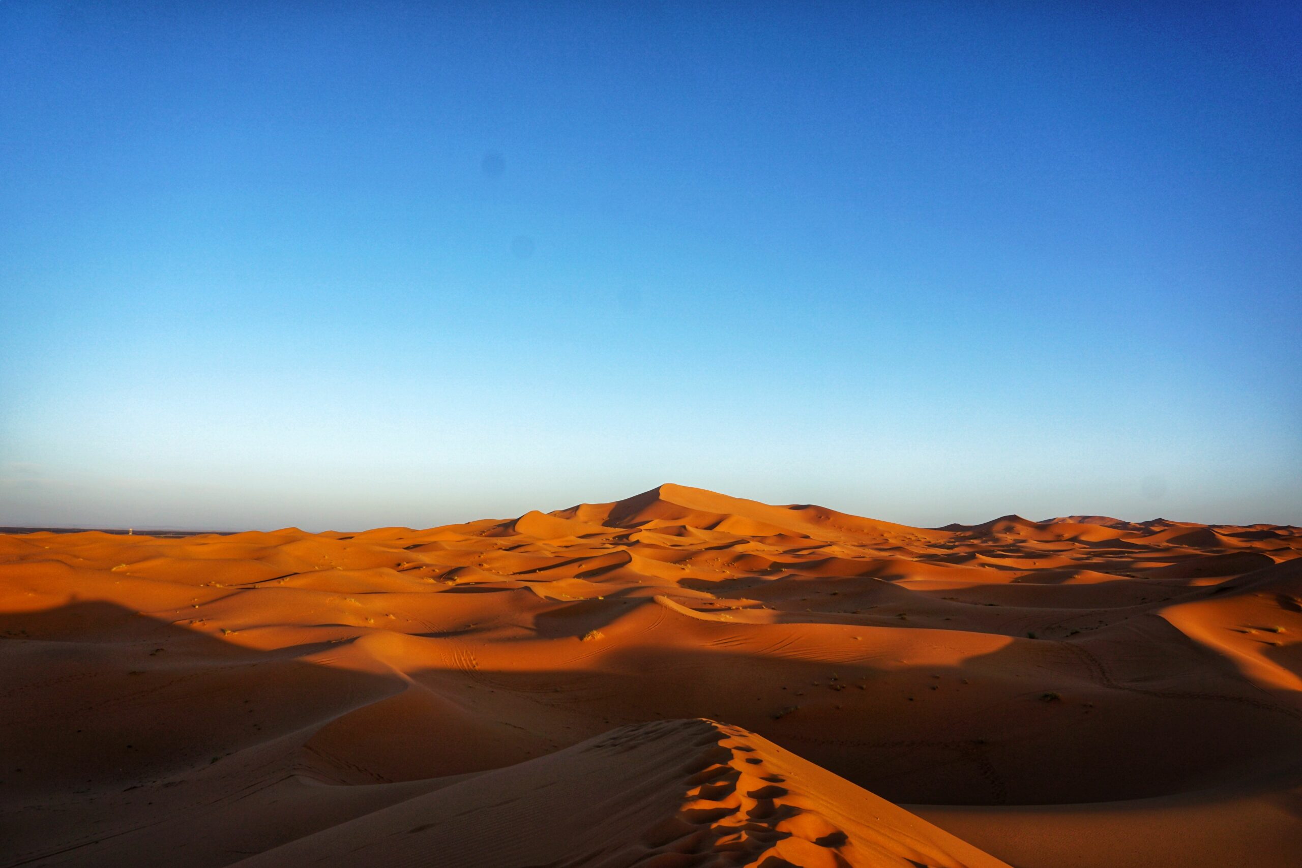 Merzouga or Zagora