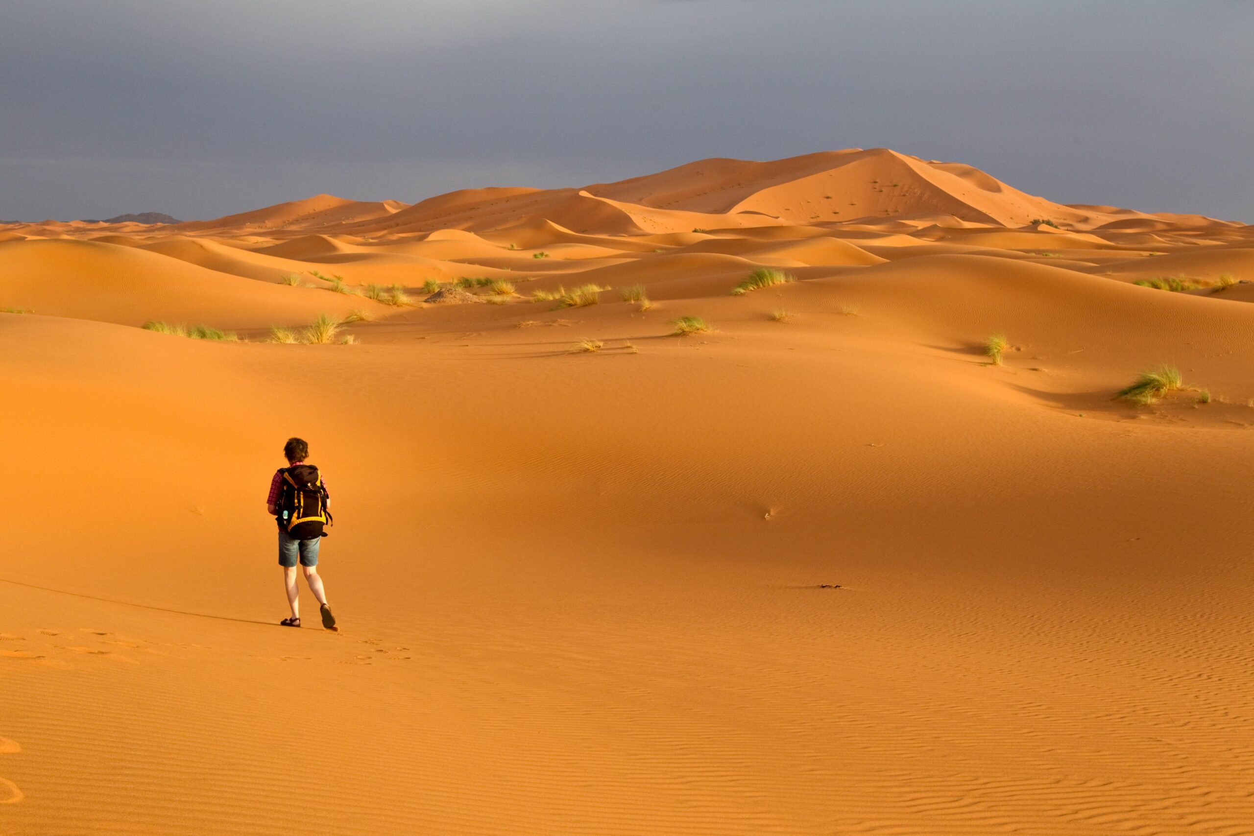 Erg Chebbi desert