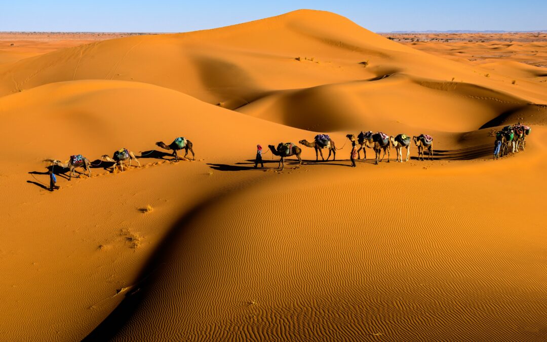 Merzouga or Zagora
