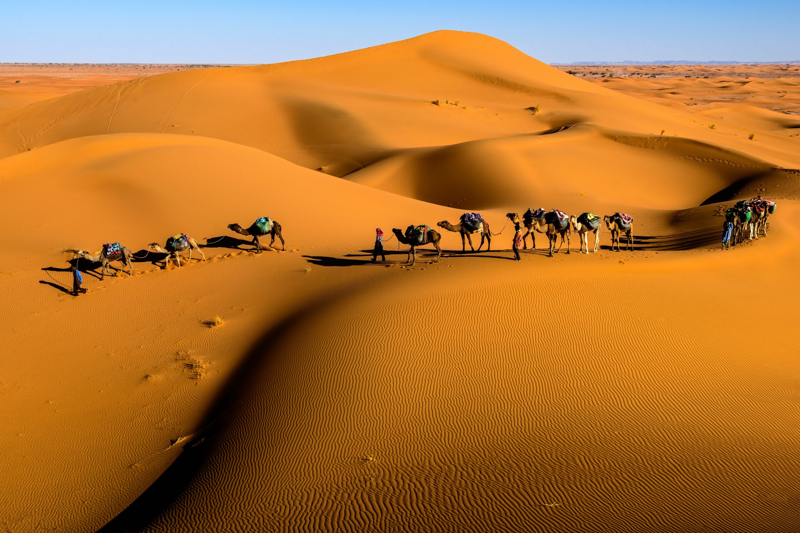 Merzouga or Zagora