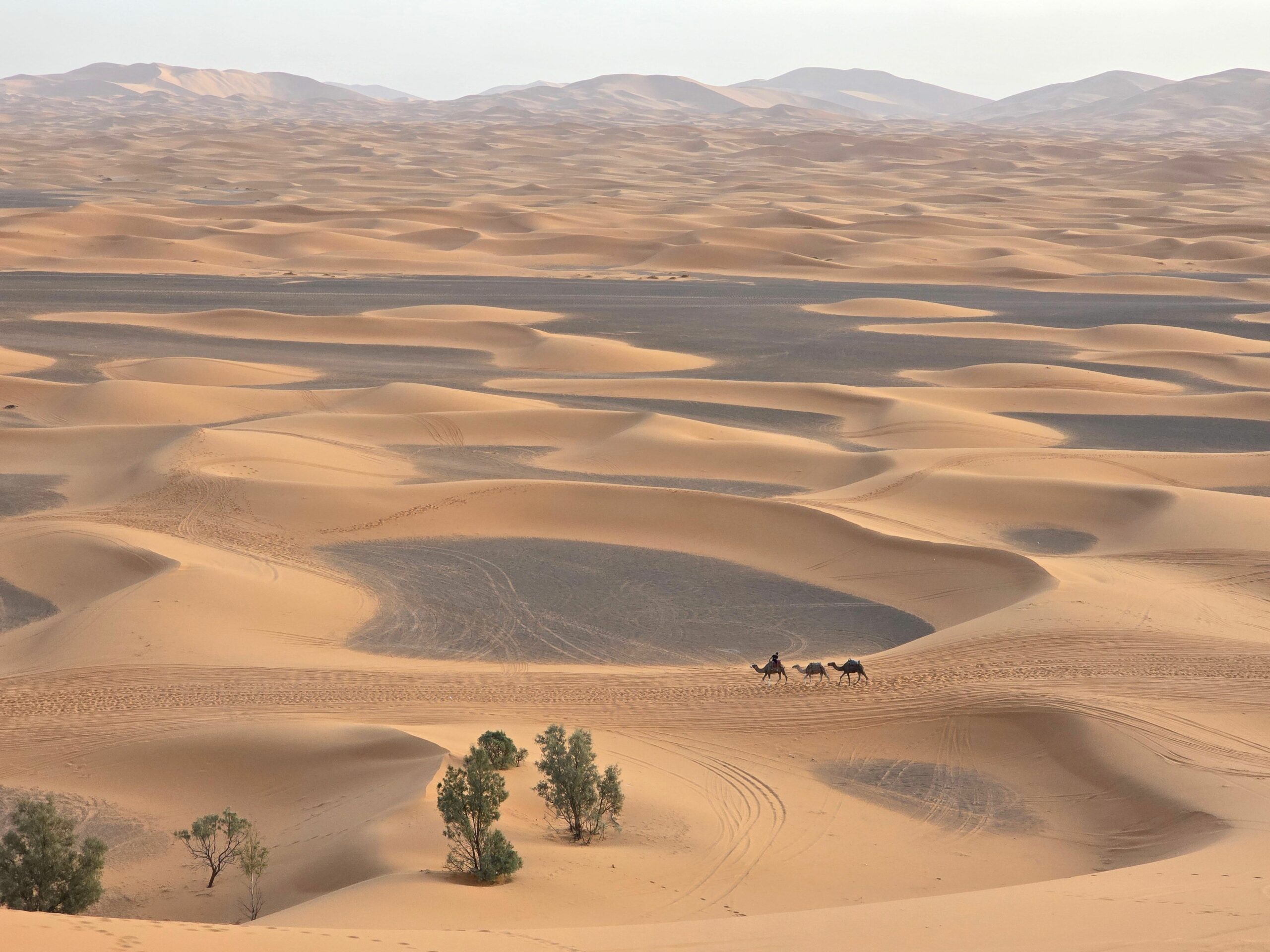 Merzouga or Zagora